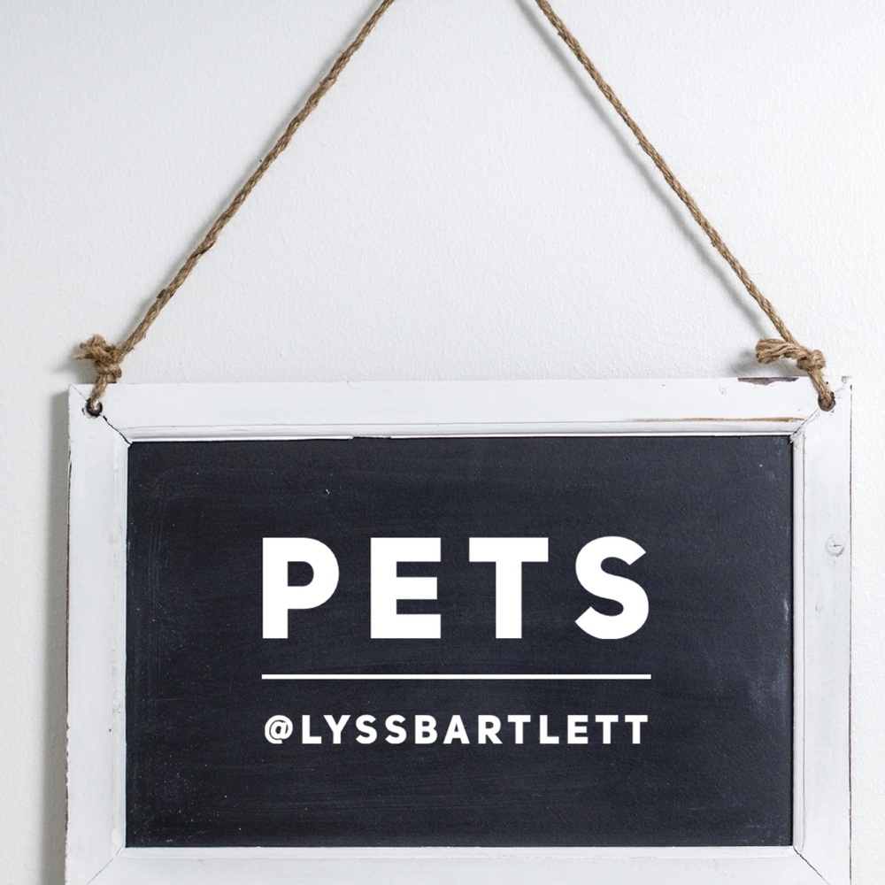 Pets / Pet Owners